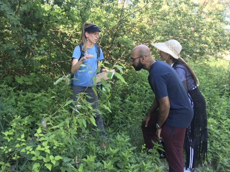 Guided Nature Walks