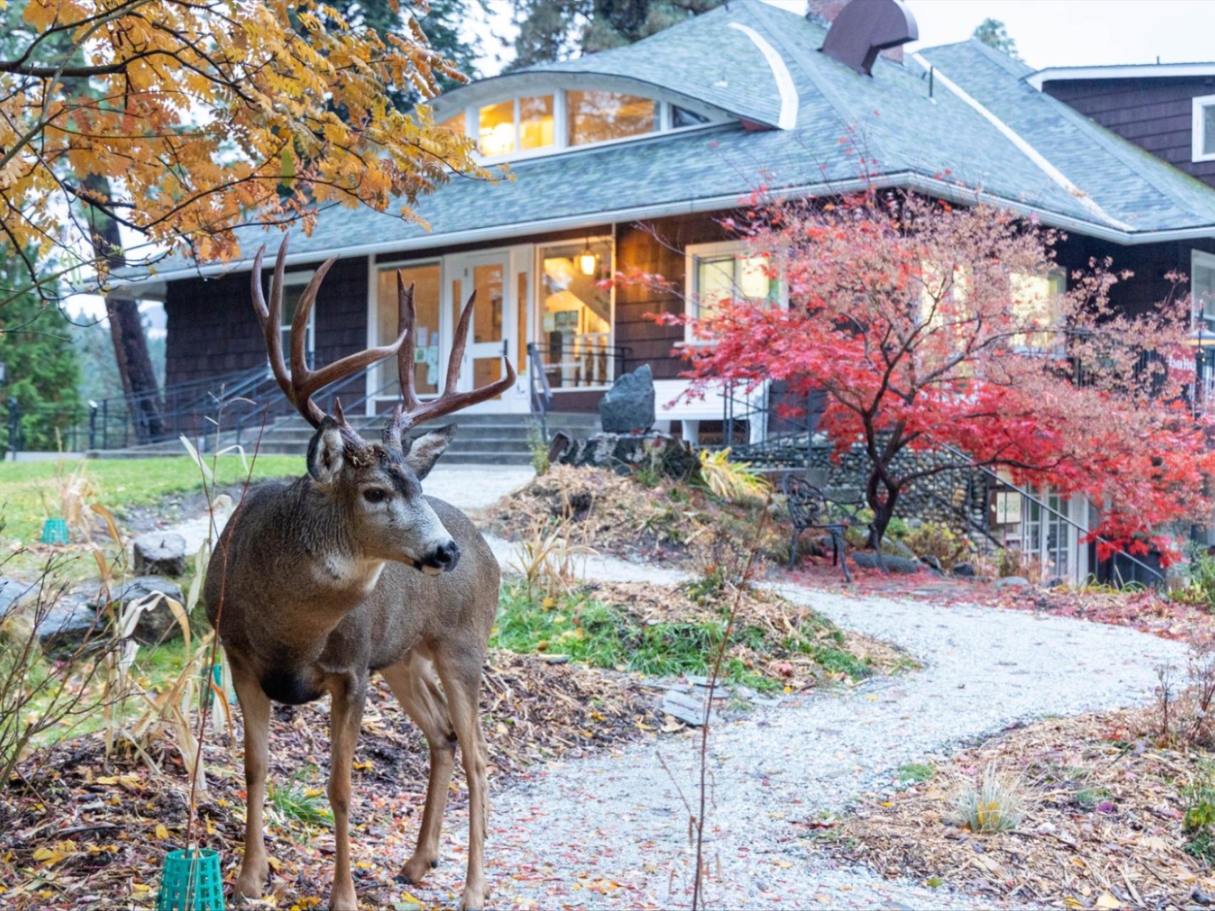 A picture of a conference room of people during the Move Beyond Land Acknowledgement retreat held at Sleeping Lady Resort.