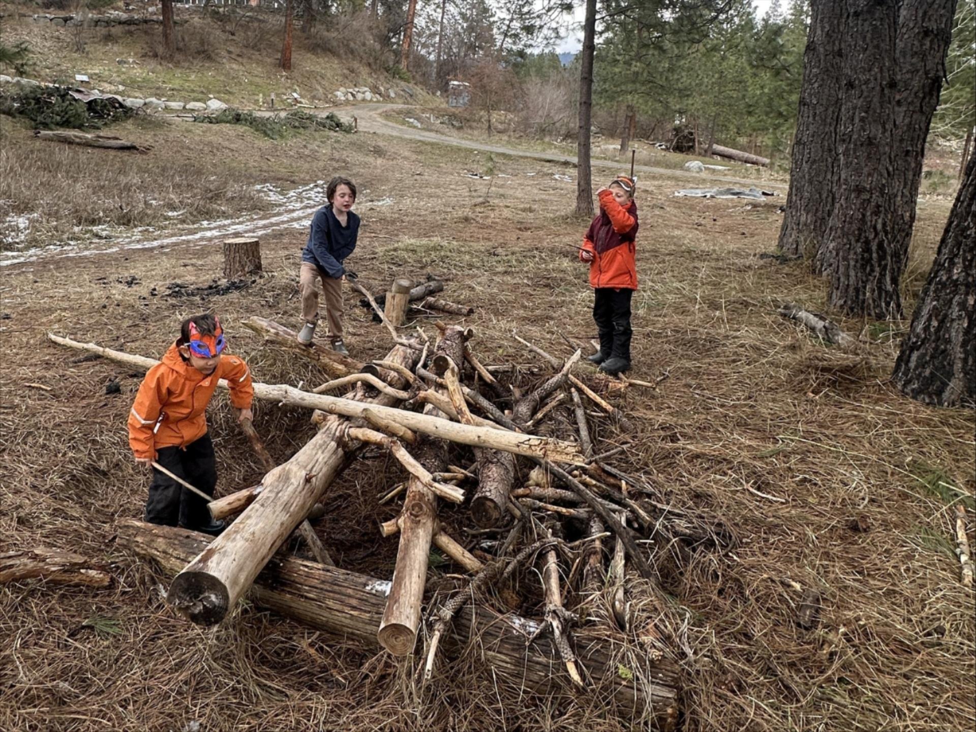 Picture of Mid-Winter Break Camp: Session 2 outside piling up twigs and logs.