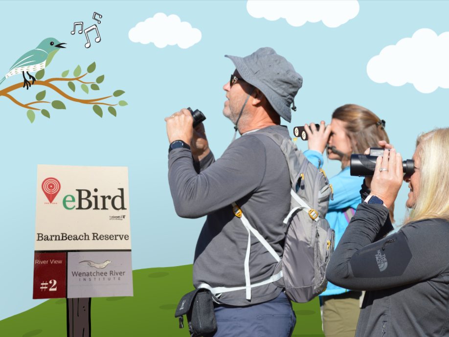 April Beginner Bird Walk
