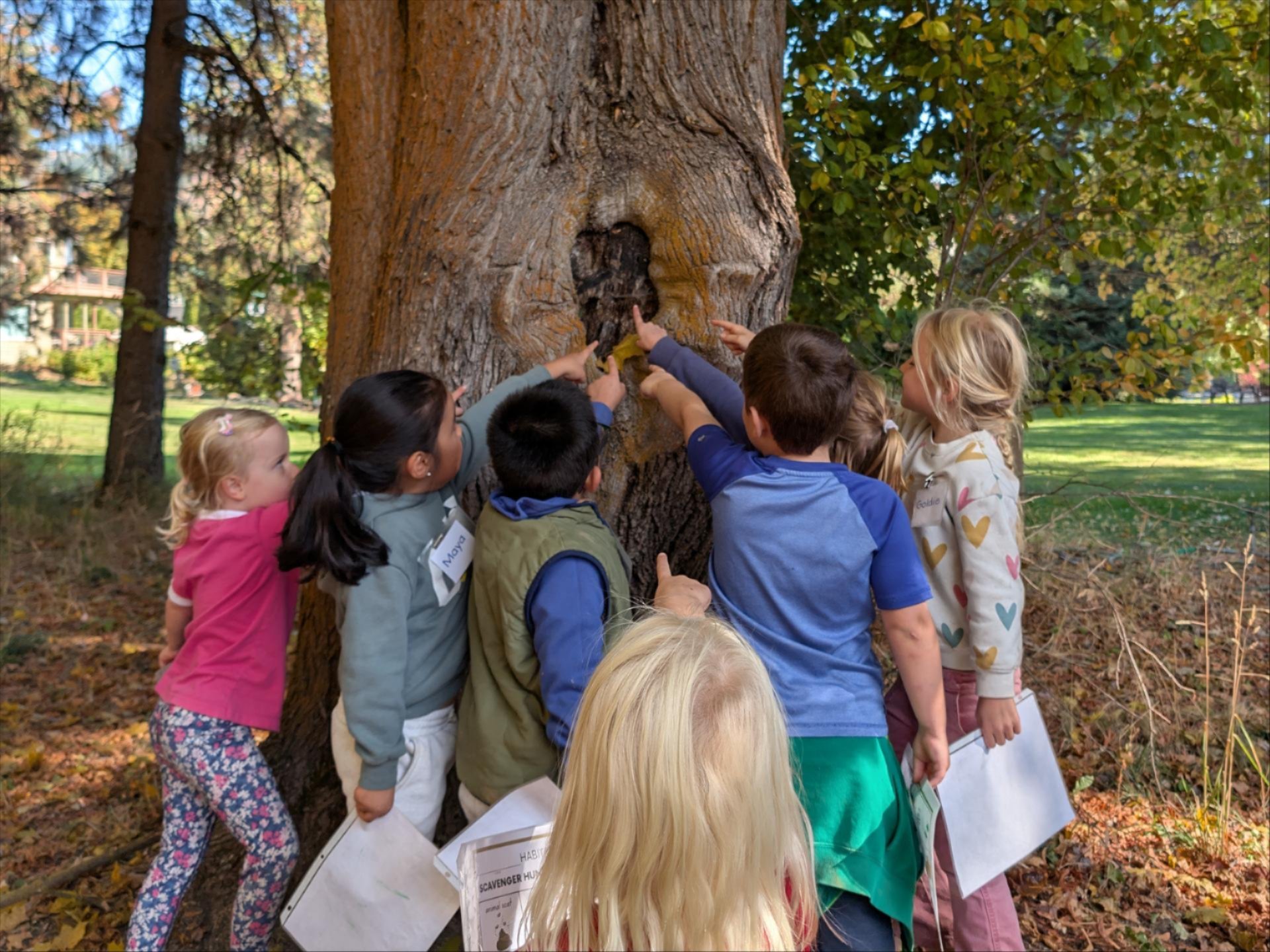 Image of kids pointing to a knot in a tree during a WRI Youth Program.