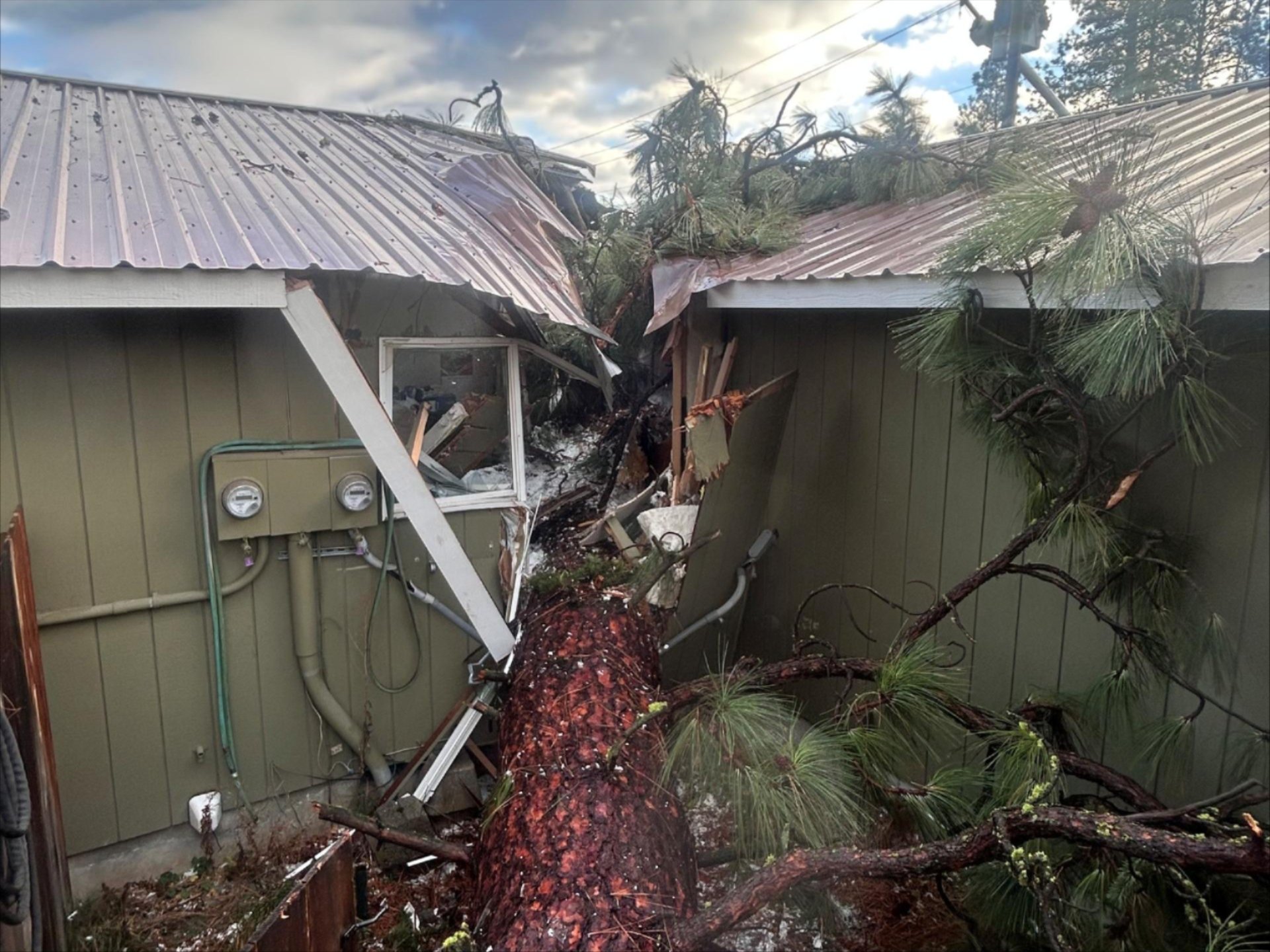 A tree fell and broke the house in half.