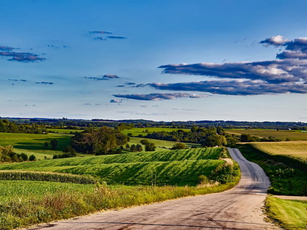 Lush and green, a beautiful countryside in Wisconsin